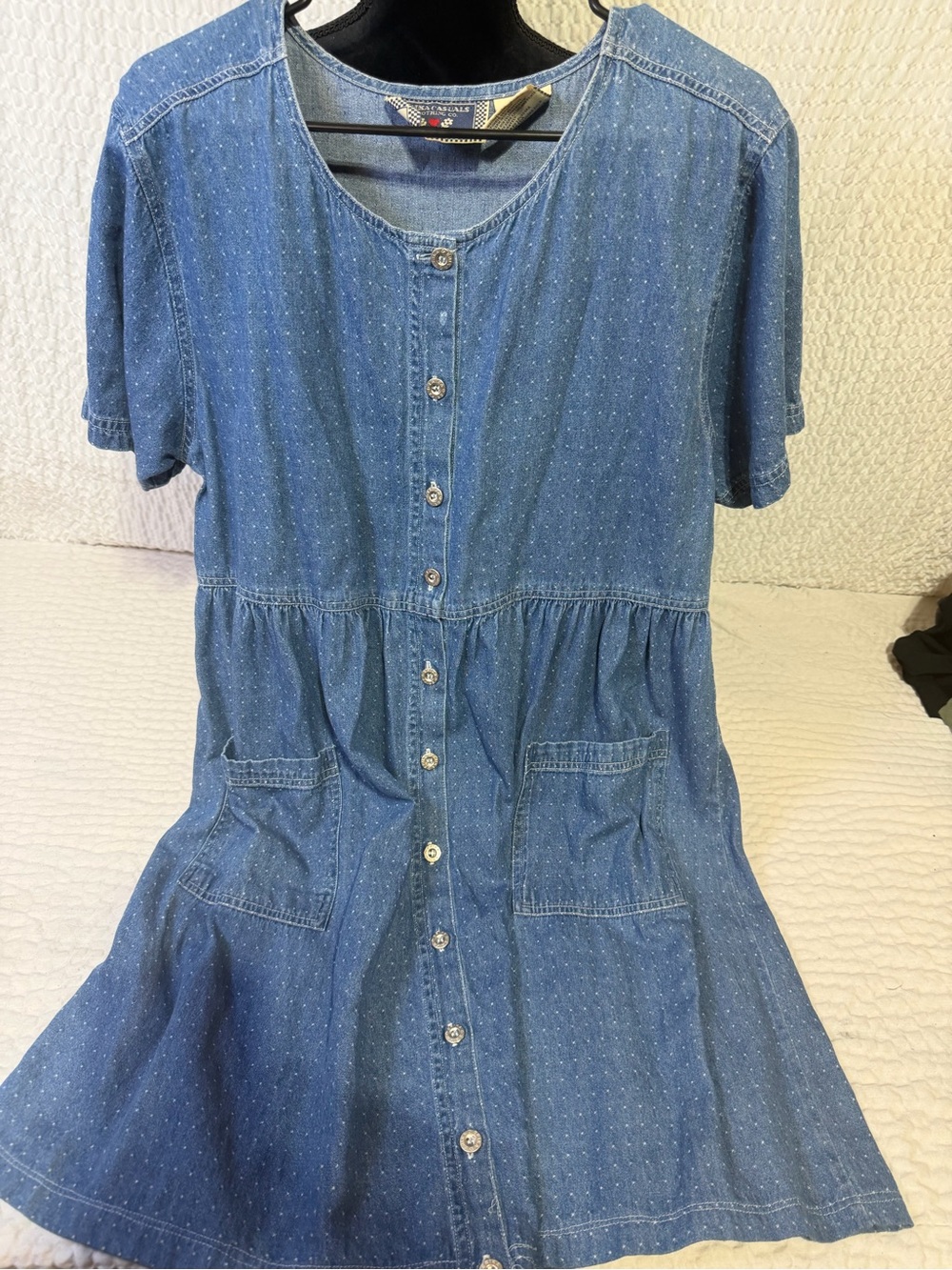 Erika Blue Denim Button-Front Casual Dress